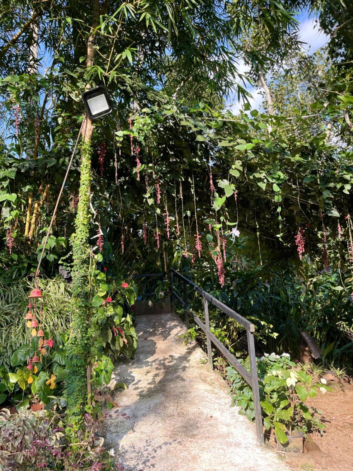 Willa Lush Acres Thekkady Zewnętrze zdjęcie