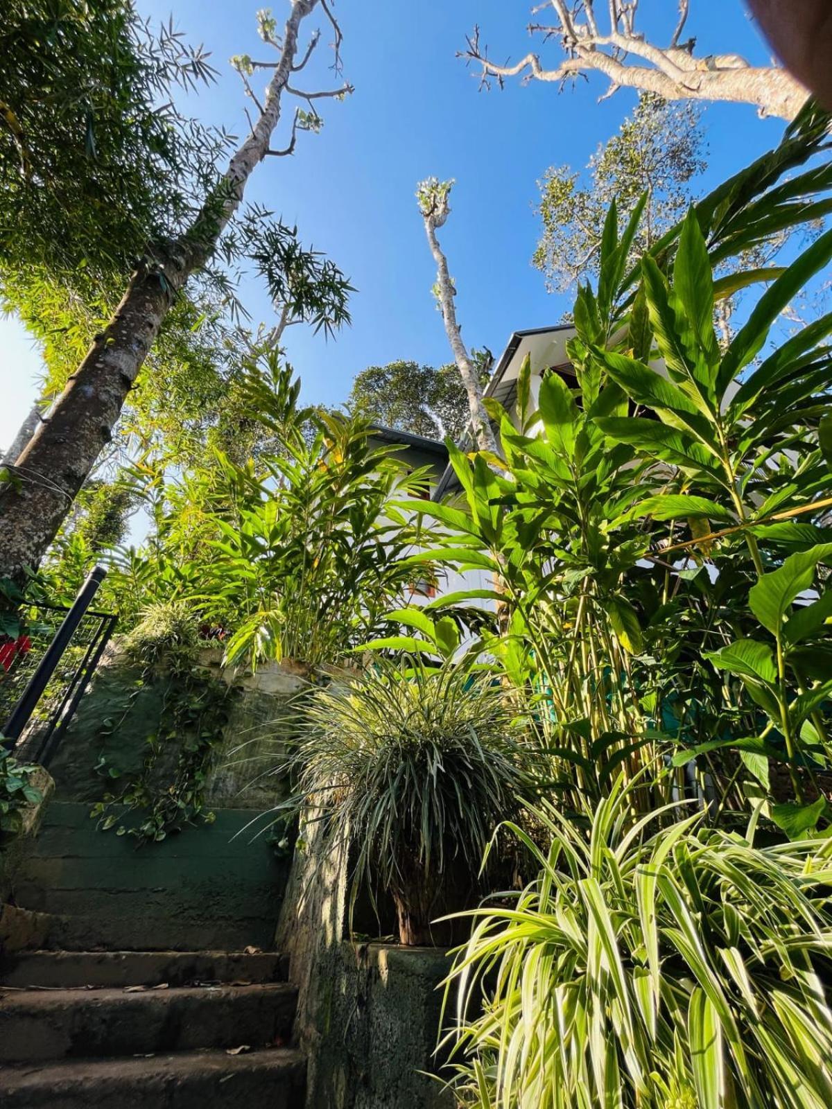 Willa Lush Acres Thekkady Zewnętrze zdjęcie